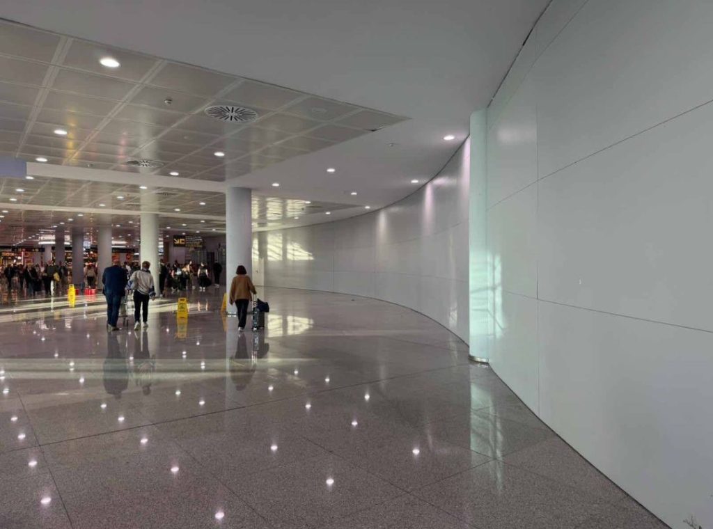 proceso de importación de tarimas para distribución B2B